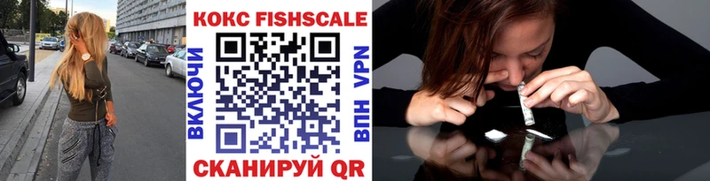 КОКАИН FishScale  Купить где  Новодвинск 