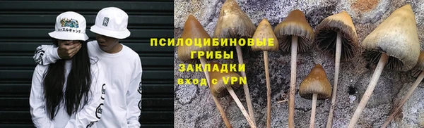 индика Пенза